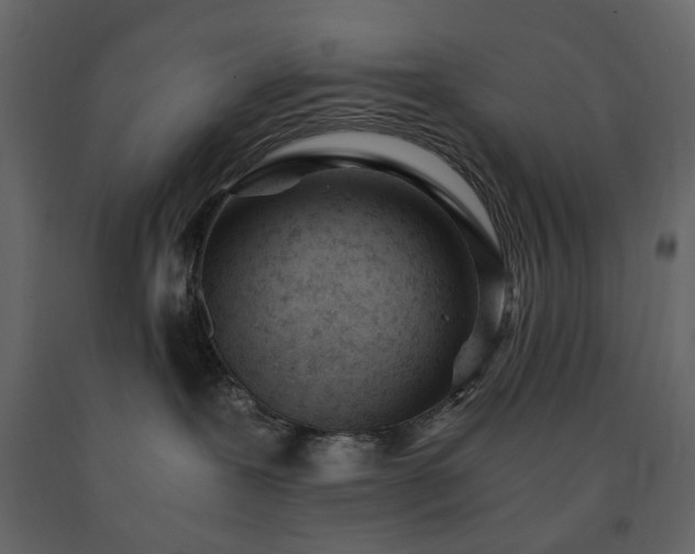 X0000091520239200708241656
