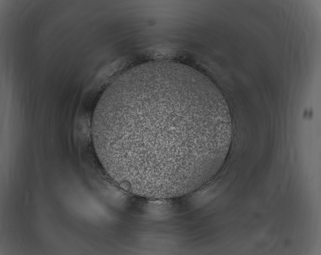 X0000091520240200708241656