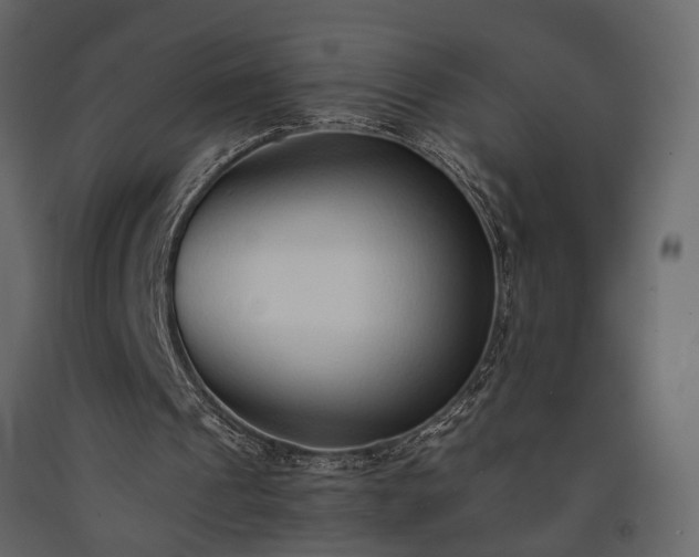 X0000091520241200708241655