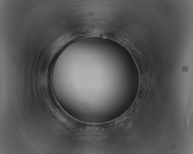 X0000091520242200708241655