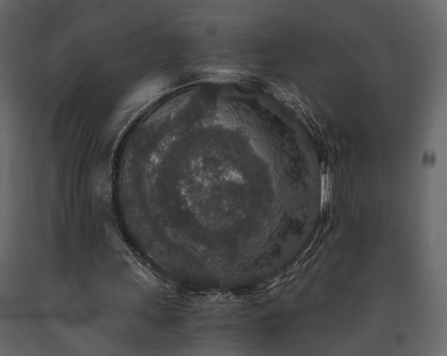 X0000091520243200708241655