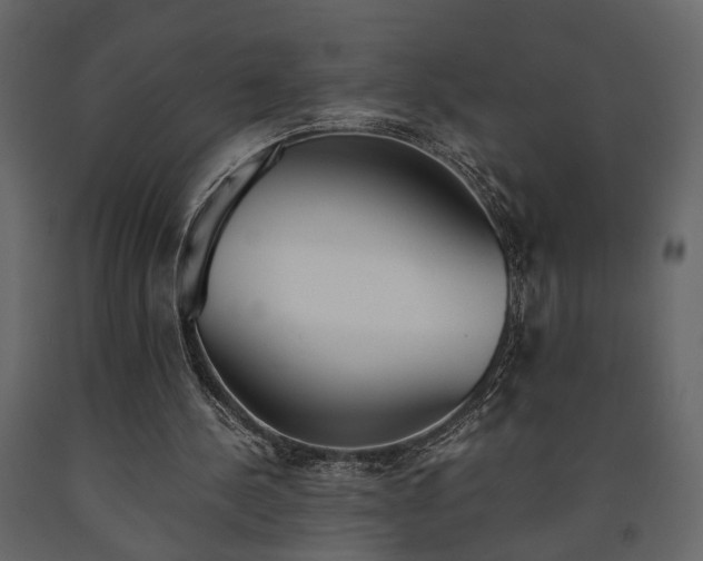 X0000091520244200708241655