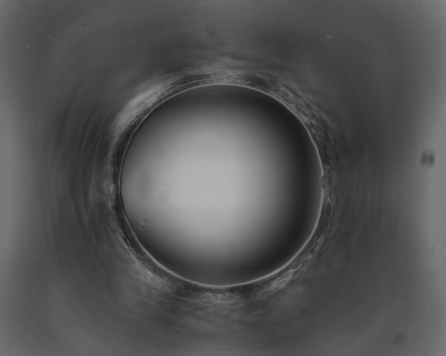 X0000091520245200708241655
