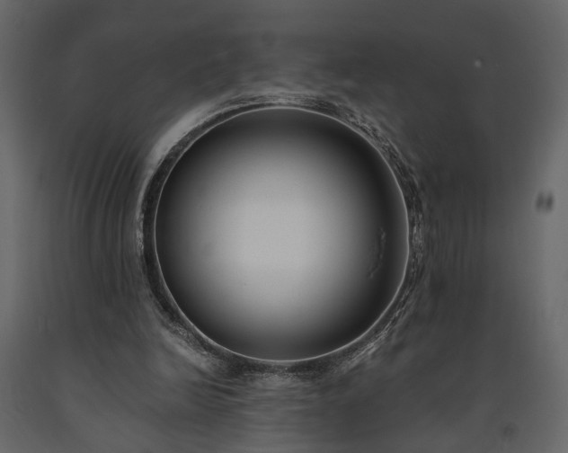 X0000091520246200708241655