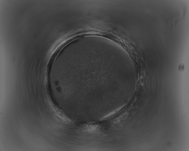 X0000091520247200708241655