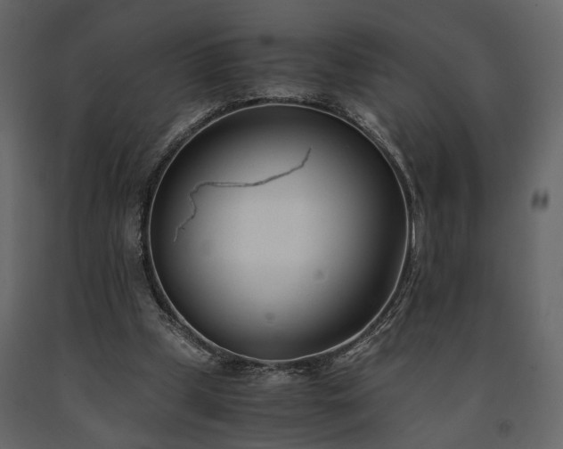 X0000091520249200708241655