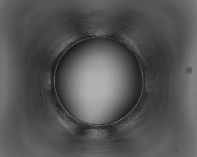 X0000091520251200708241655