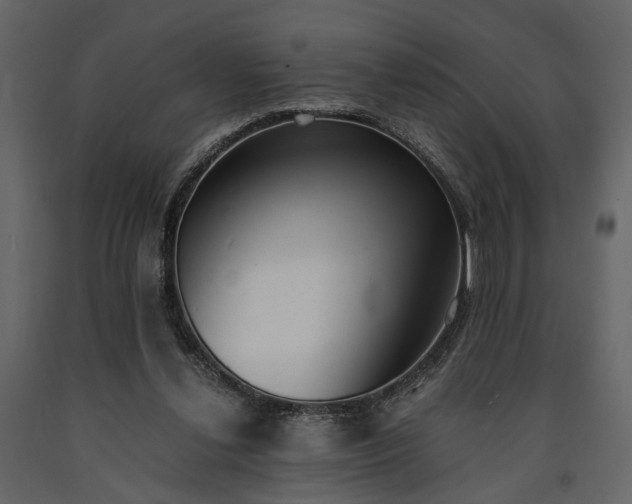 X0000091520252200708241655