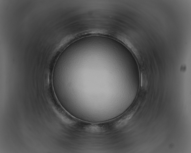 X0000091520253200708241655