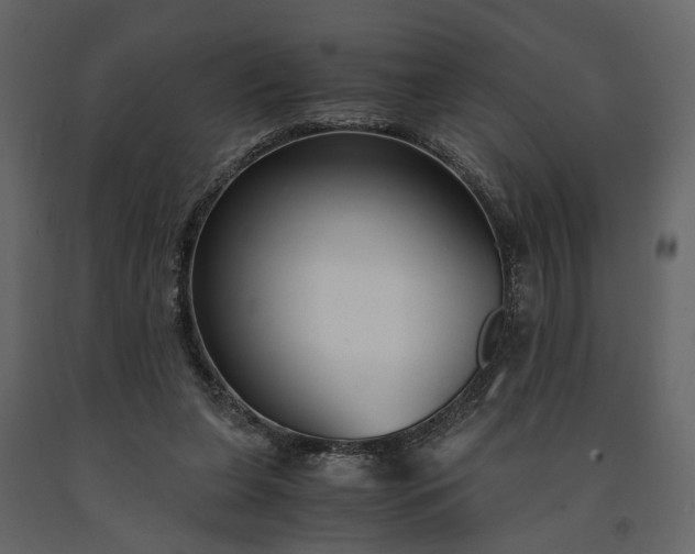 X0000091520255200708241655