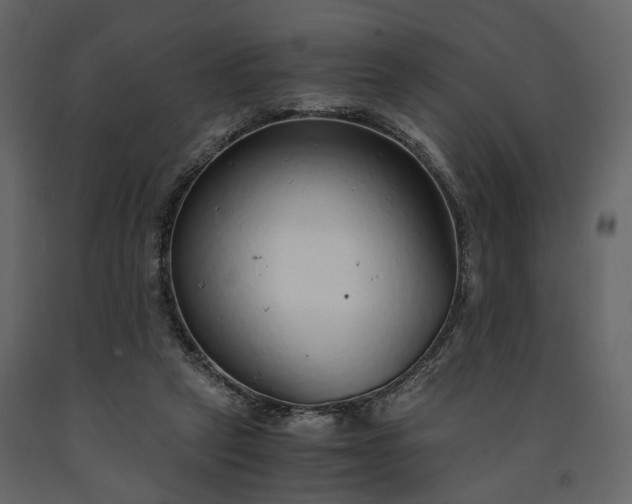 X0000091520257200708241655