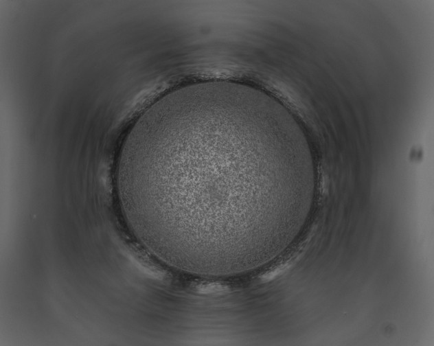 X0000091520258200708241655