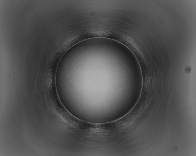 X0000091520259200708241655