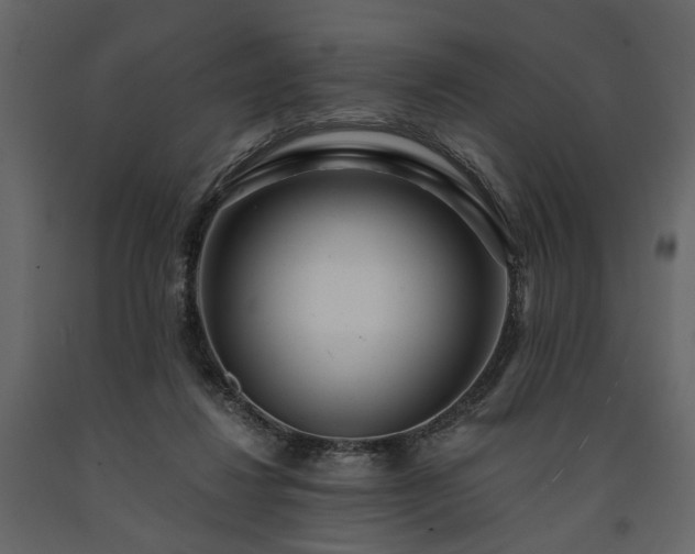 X0000091520260200708241656