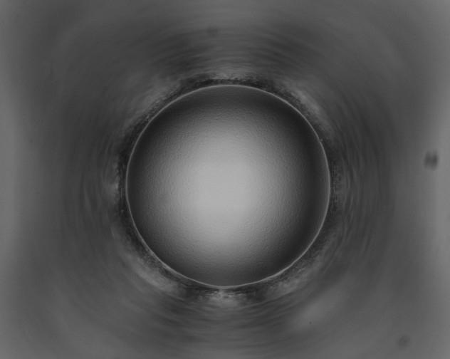 X0000091520261200708241656