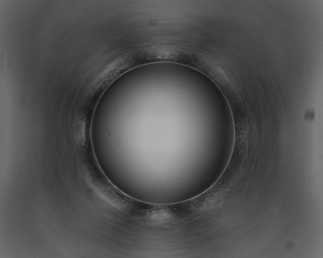 X0000091520262200708241656