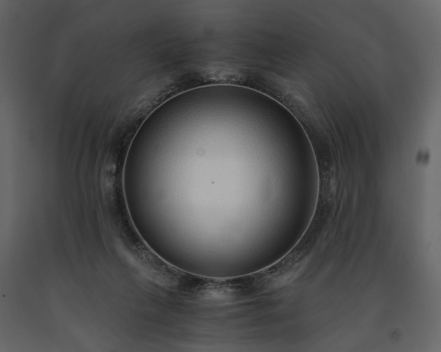 X0000091520263200708241656