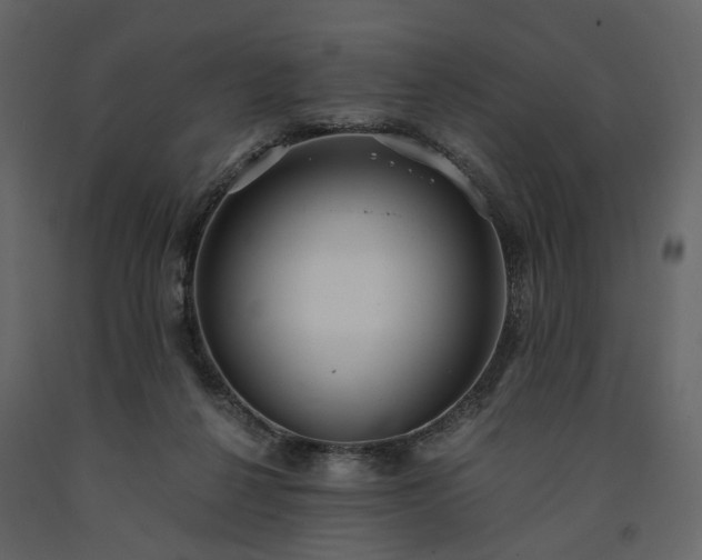 X0000091520264200708241656