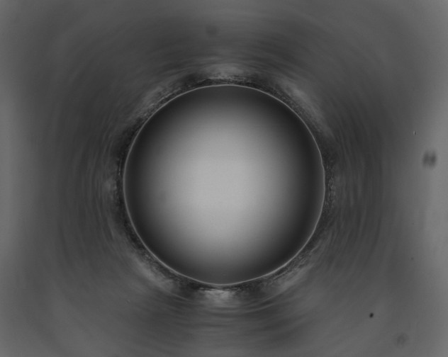 X0000091520265200708241656