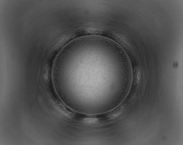 X0000091520266200708241656
