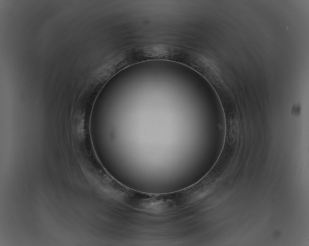 X0000091520267200708241656