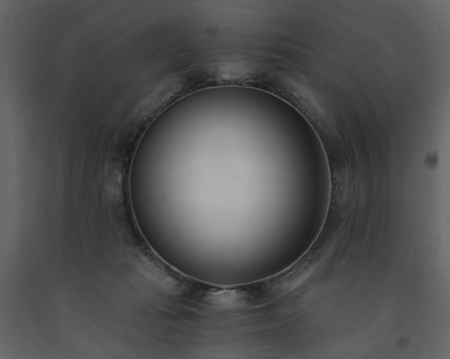 X0000091520269200708241656