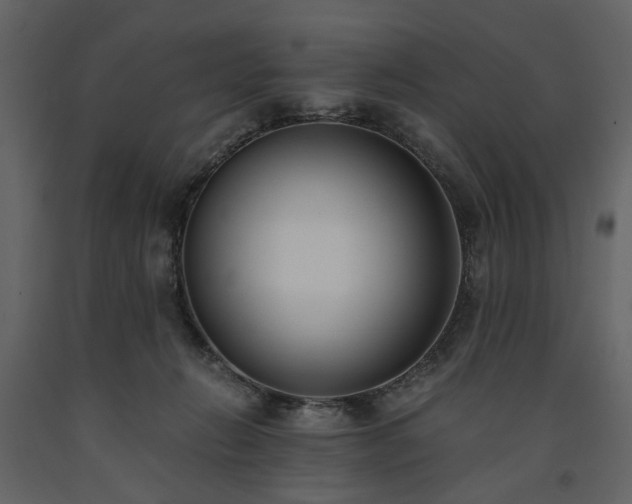 X0000091520270200708241656