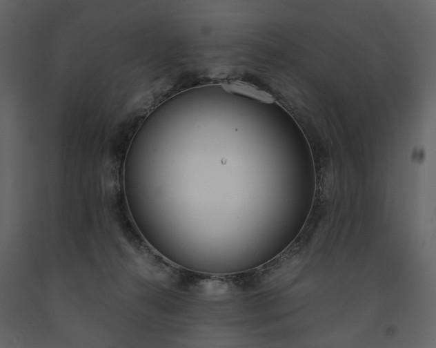 X0000091520272200708241656
