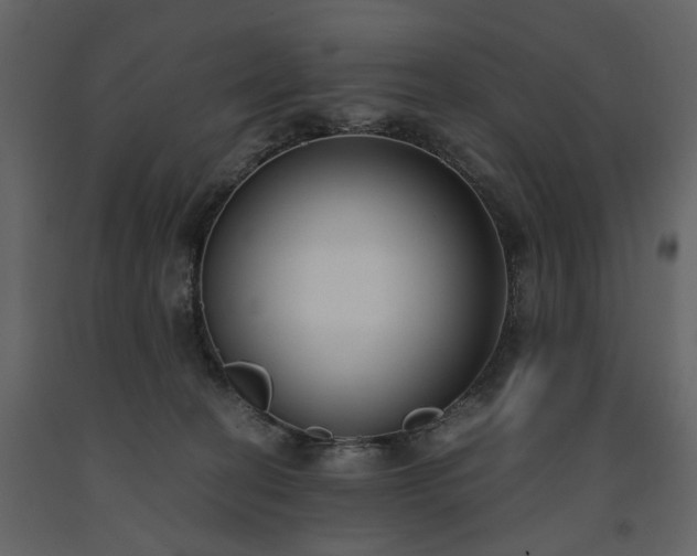 X0000091520274200708241656