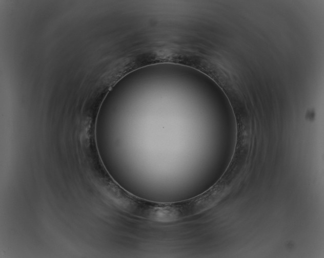 X0000091520275200708241656