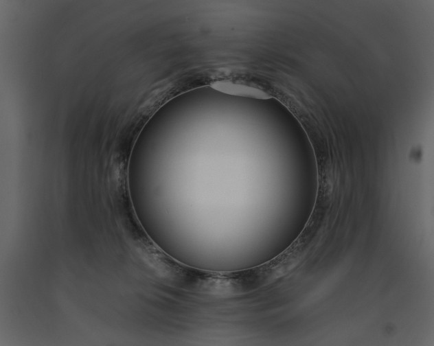 X0000091520276200708241656