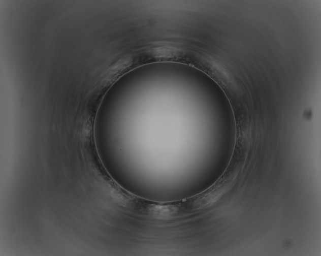 X0000091520277200708241656