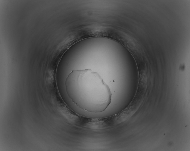 X0000091520278200708241656