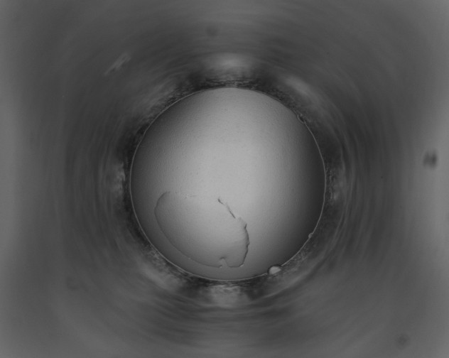 X0000091520279200708241656