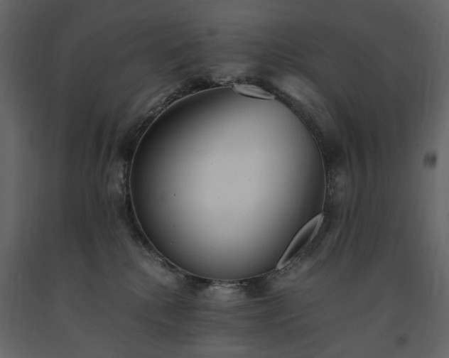 X0000091520280200708241656