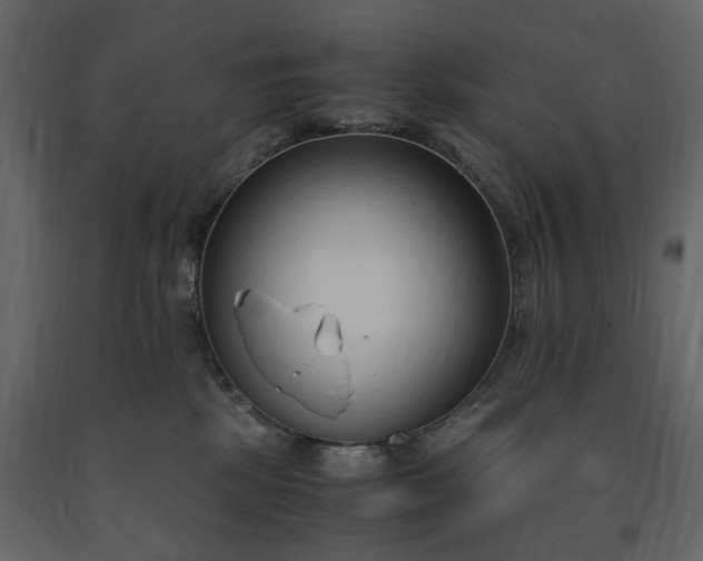 X0000091520281200708241656
