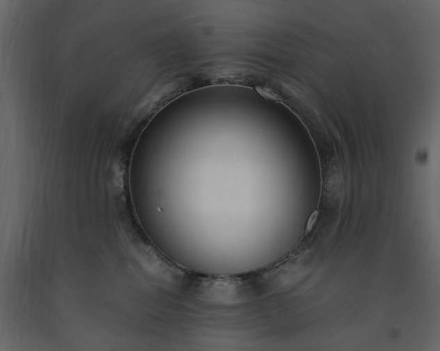 X0000091520282200708241656