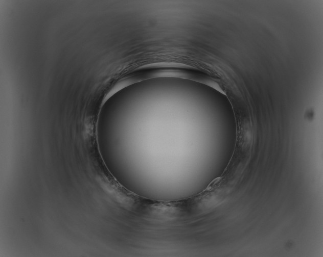 X0000091520284200708241656