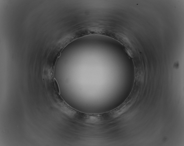 X0000091520285200708241656