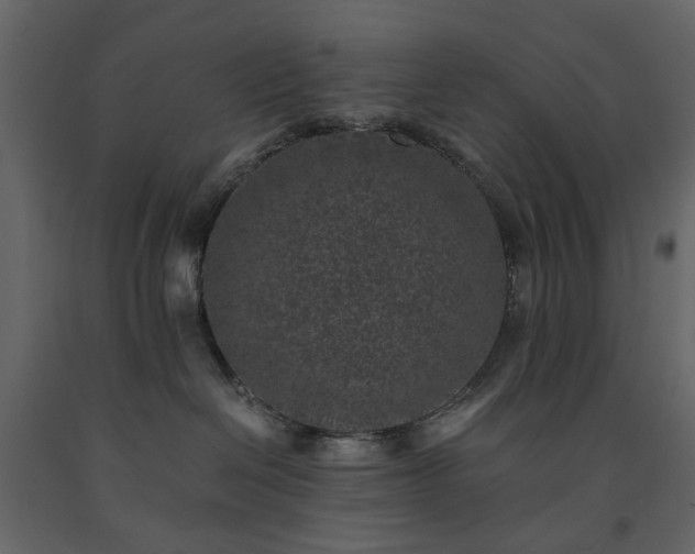 X0000091520286200708241656