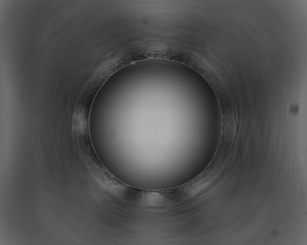 X0000091520287200708241656