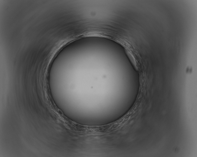 X0000091520289200708241655