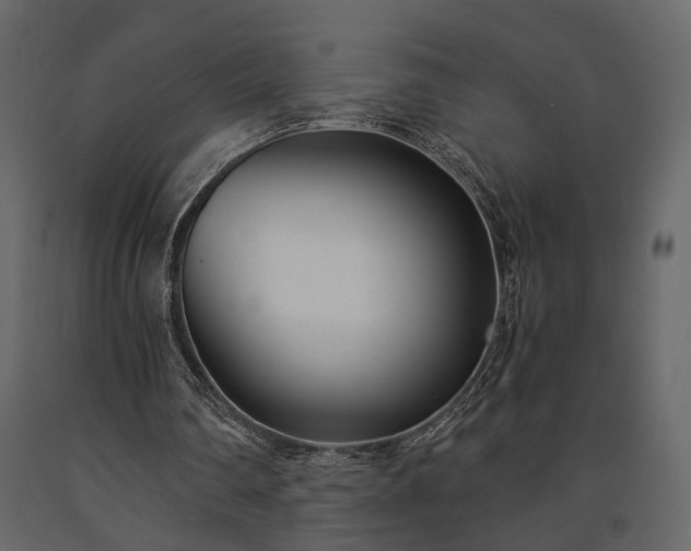 X0000091520290200708241655