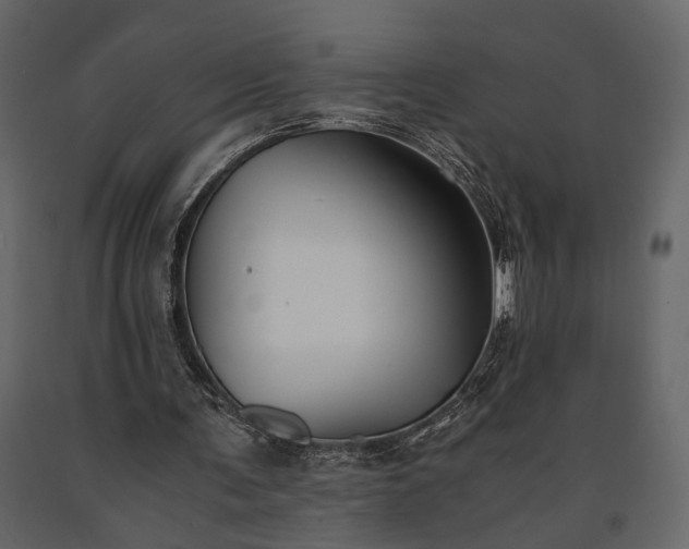 X0000091520291200708241655