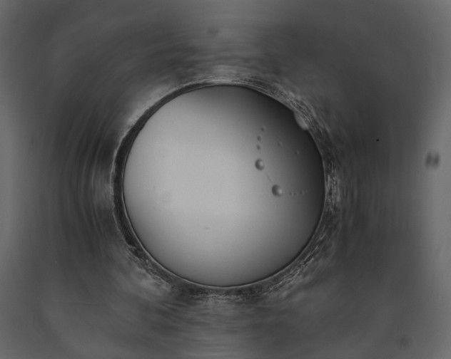 X0000091520292200708241655