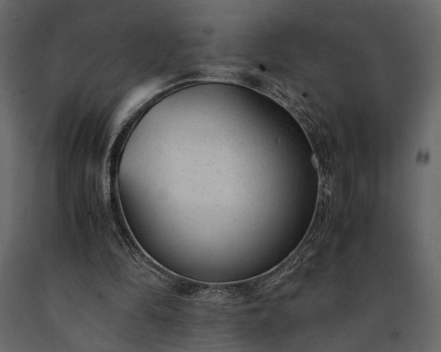 X0000091520294200708241655