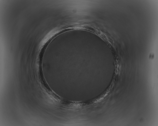 X0000091520295200708241655
