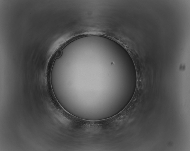 X0000091520296200708241655