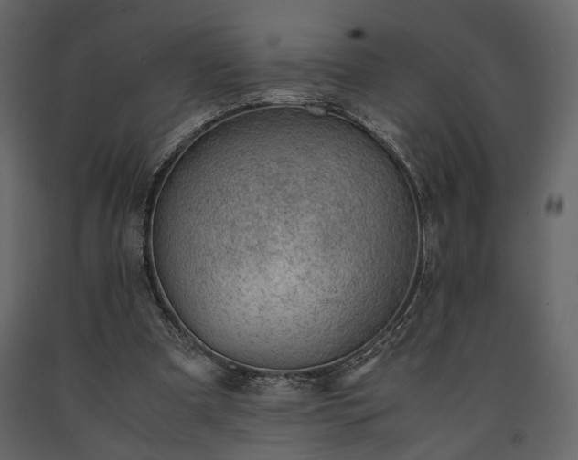 X0000091520297200708241655