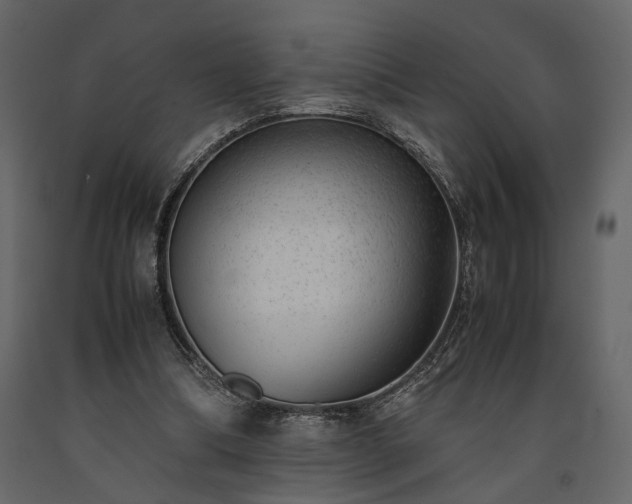 X0000091520298200708241655